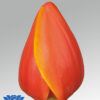 tulip ad rem