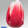 tulip lech walesa