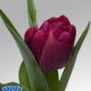 tulip-world-bowl